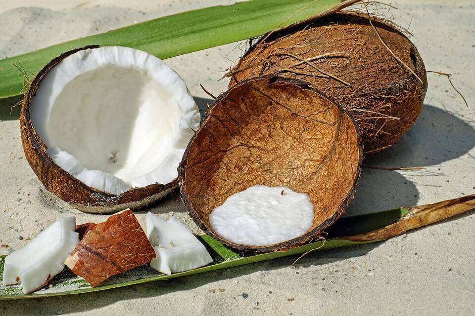 Coconut oil fat burning