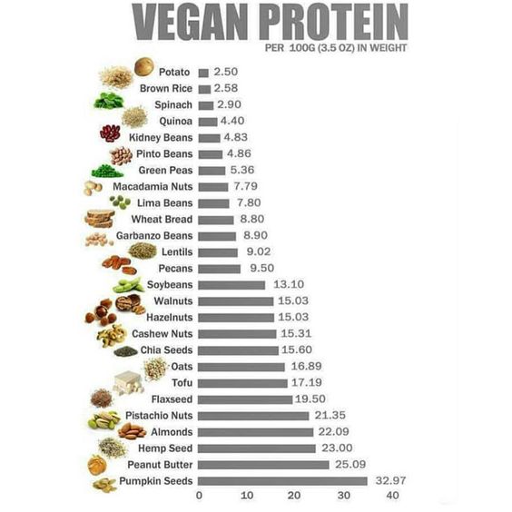 Protein for Vegan Diet