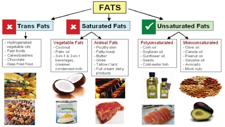 Different types of fats- Know your Fats and Carbs Facts